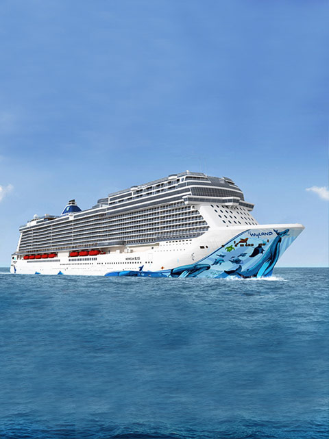NCL_bliss