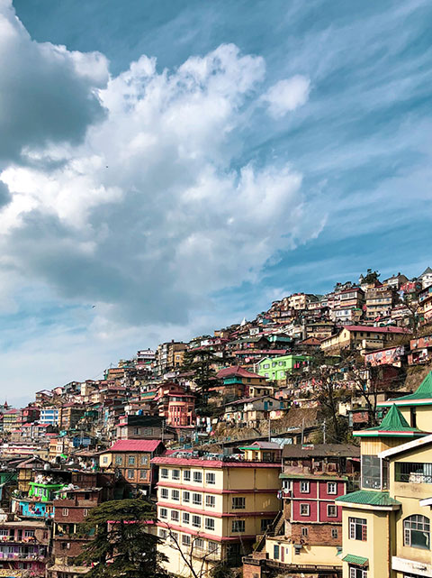 shimla