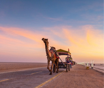 gujarat-package-image
