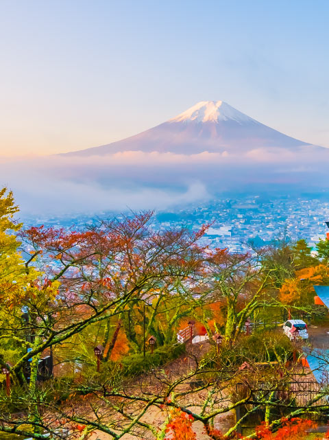 japan-korea-holiday-package