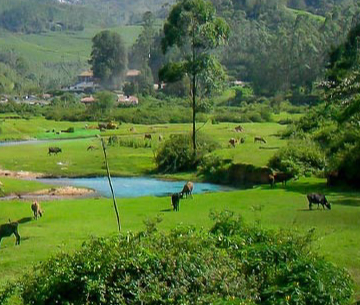 kerala-package-update-price