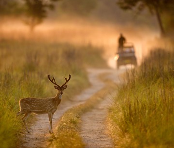 uttarakhand-package-img