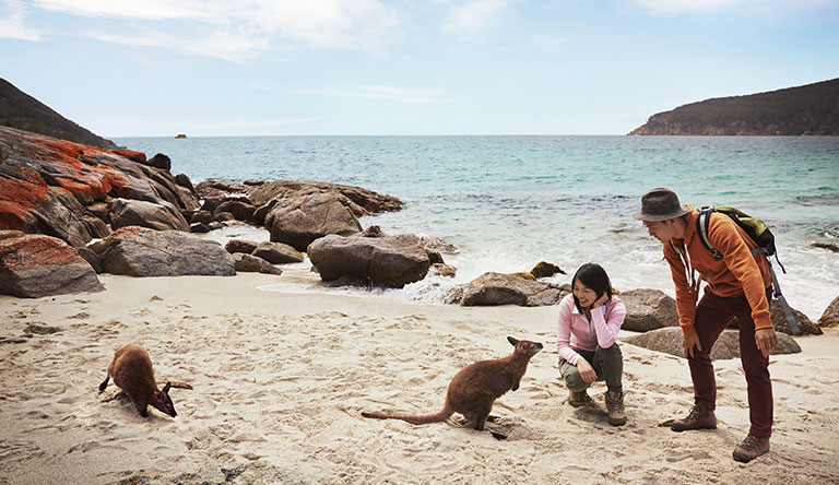 honeymoon-couple-with-kangaroo-in-sydney-australia