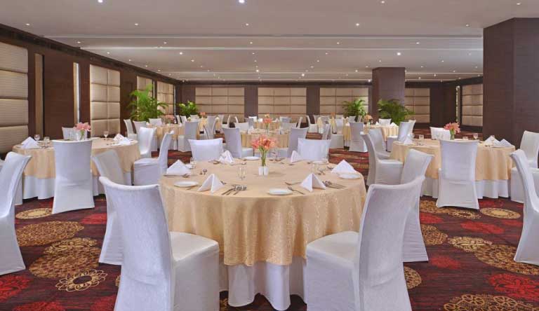 Radisson-Hotel-Agra-Banquet1