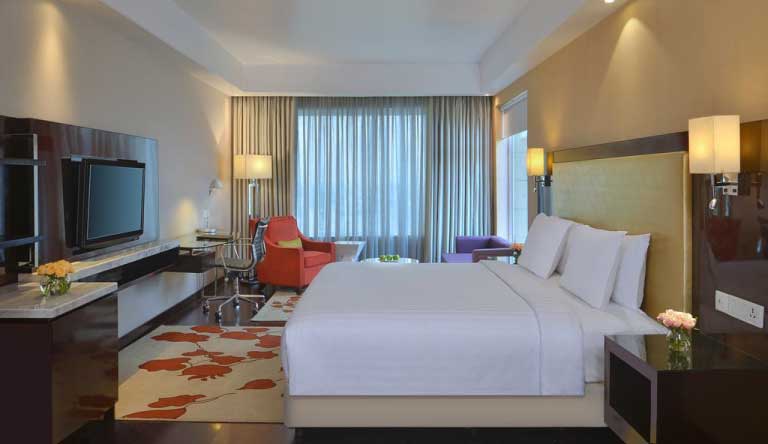 Radisson-Hotel-Agra-Suite