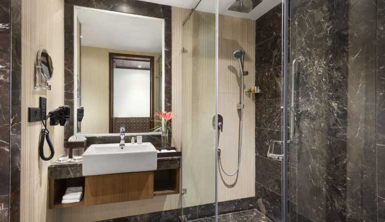 Ramada-Plaza-by-Wyndham-Guest-Room-Washroom1