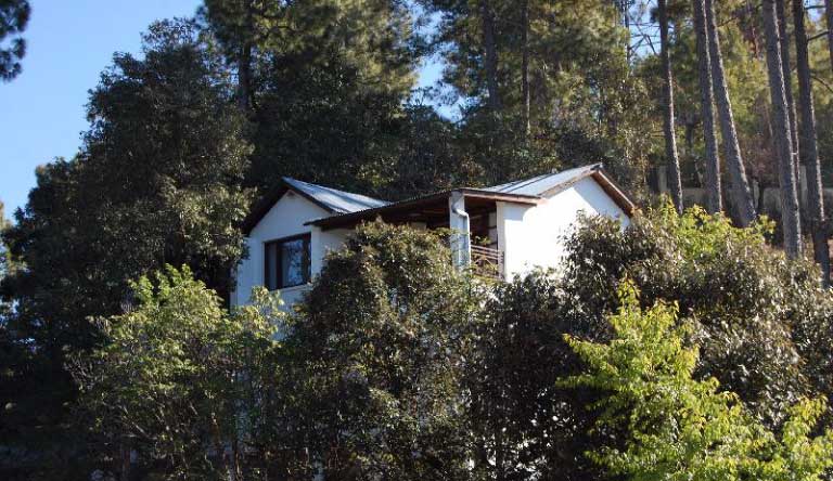 Kasaar-Jungle-Resort-Exterior2