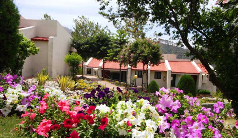 Hotel-Country-Inn-Garden