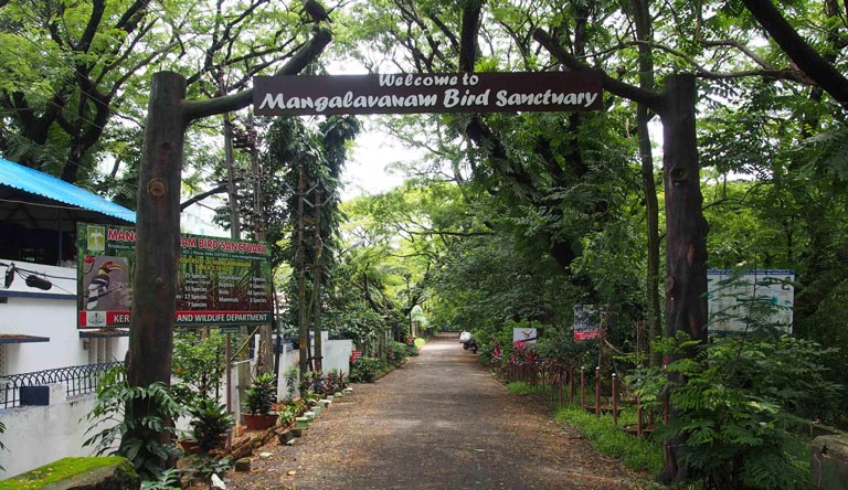 welcome-arch-mangalavanam-bird-sanctuary-kochi-kerala-india
