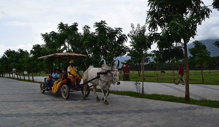 cowcart-coimbatore-india