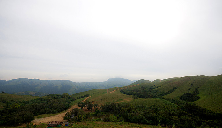 pushpagiri-wildlife-sanctuary-coorg-karnataka-india