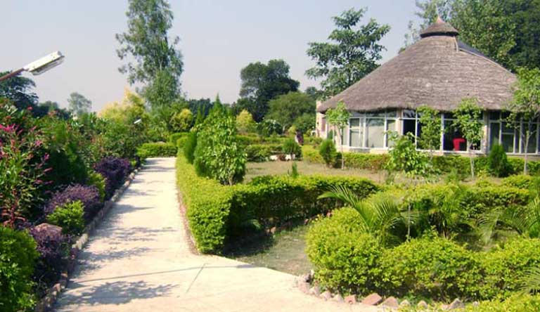 Corbett-Tiger-Den-Resort-Restaurant2