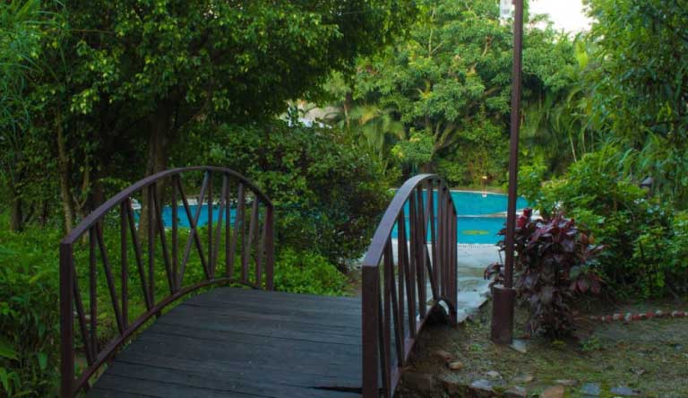 Wild-Exotica-Corbett-Pool2