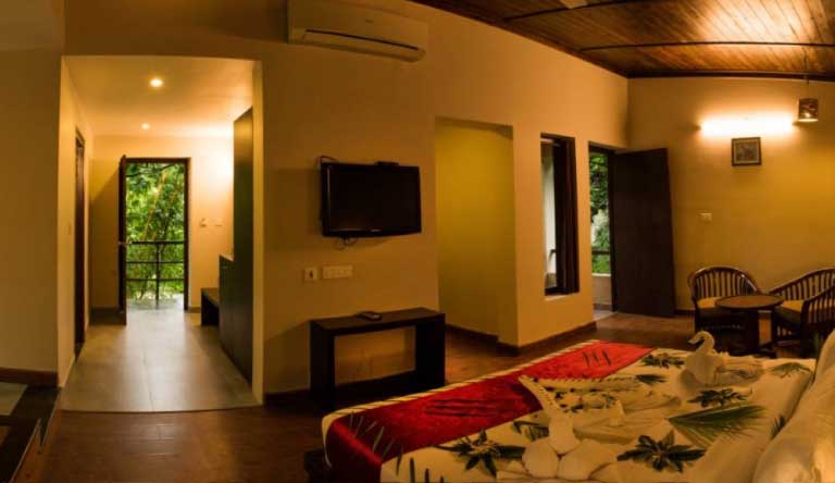 Wild-Exotica-Corbett-Room