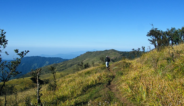 meadows-in-singalila-national-park-darjeeling-india