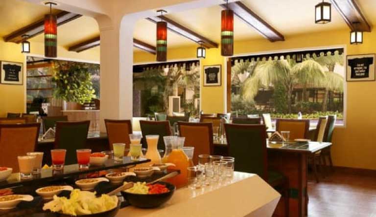 Lemon-Tree-Amarante-Beach-Resort-Goa-Alligator