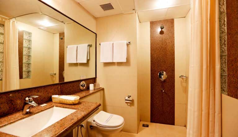 The-Sea-Horse-Resort-Goa-Bathroom2