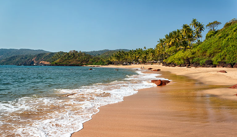 cola-beach-south-goa-india