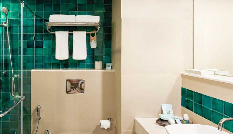 ibis-Styles-Goa-Calangute-Hotel-Deluxe-Room-Washroom