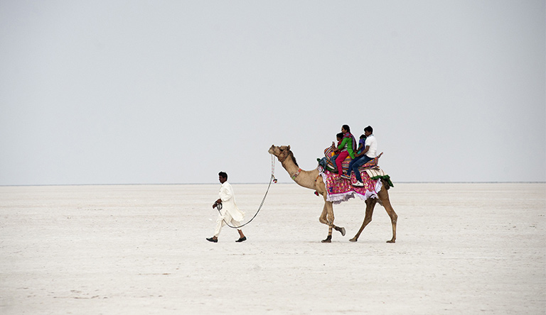 Rann of Kutch