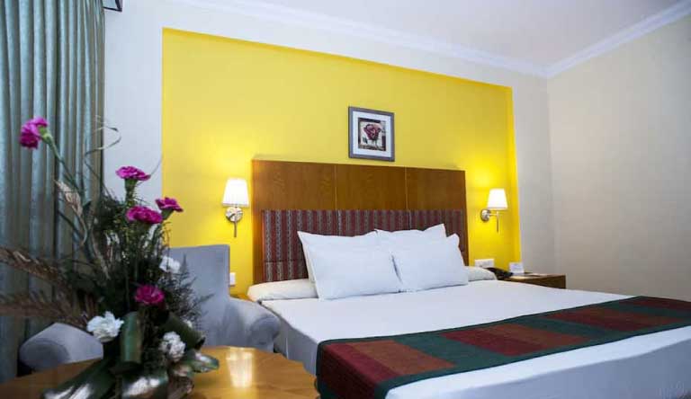 Hotel-Jaipur-Palace-Standard-Room