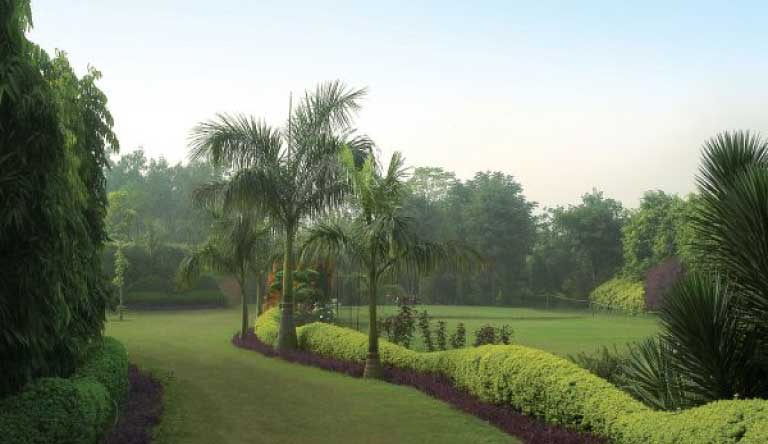 Surjivan-Garden