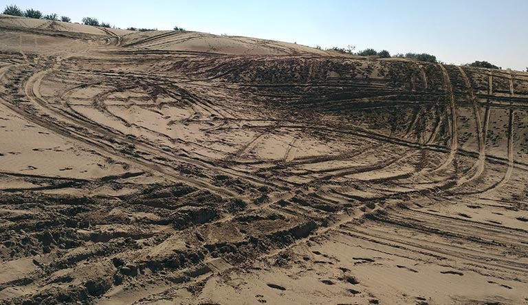 after-desert-safari-jaisalmer-rajasthan-india