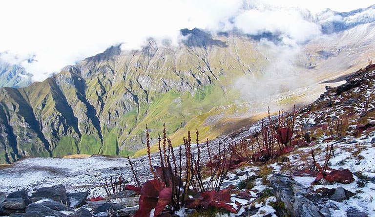 nanda-devi-biosphere-reserve-chamoli-joshimath-uttarakhand-india