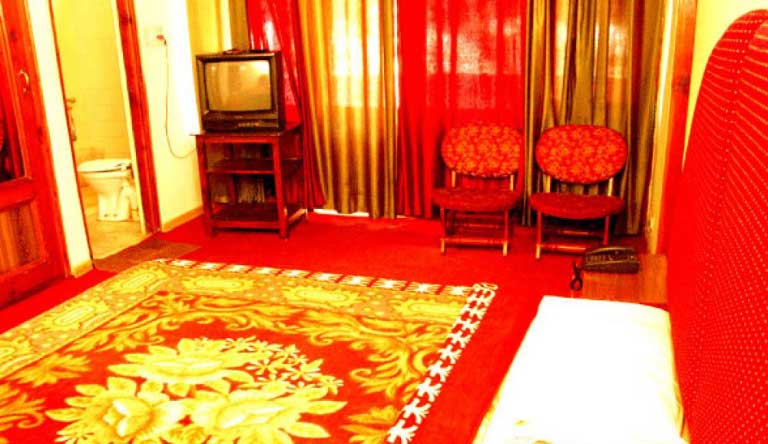 Hotel-Seagull-Manali-Deluxe-Room1