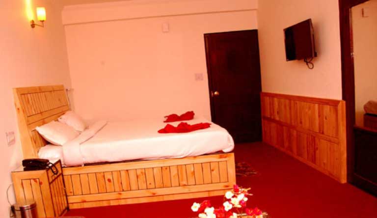Hotel-Seagull-Manali-Super-Deluxe-Room1