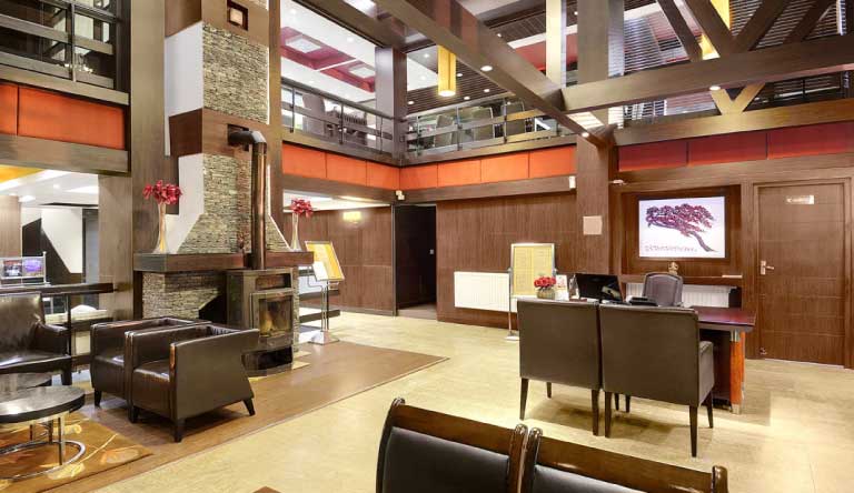 River-Country-Resort-Manali-Lobby1