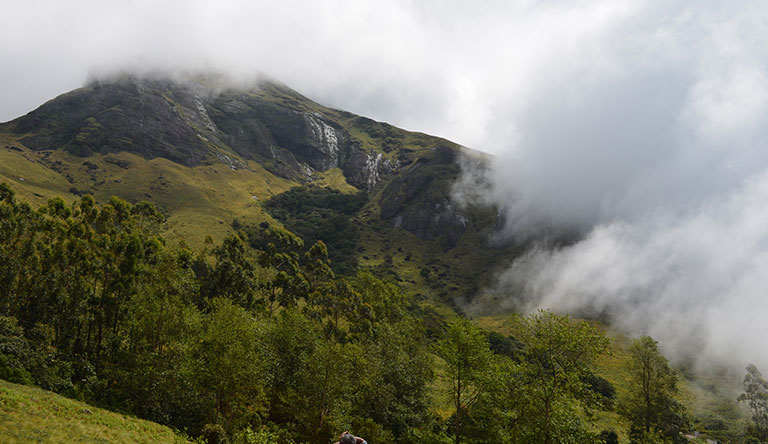 eravikulam-national-park-munnar-kerala-india
