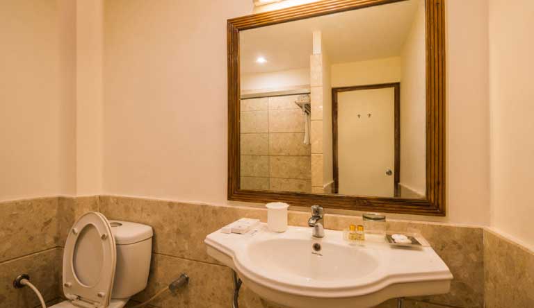 Tulip-Inn-Green-Castle-Deluxe-Room-Washroom