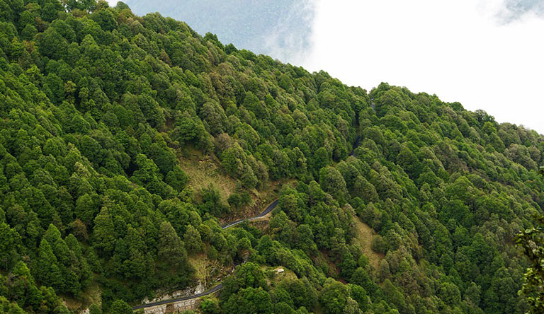nainital-nature-mountain-road-uttarakhand-india