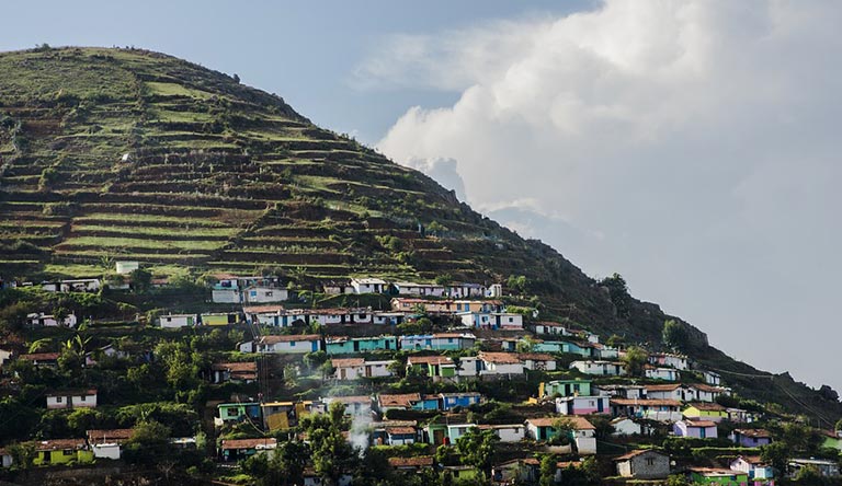 Coorg & Ooty