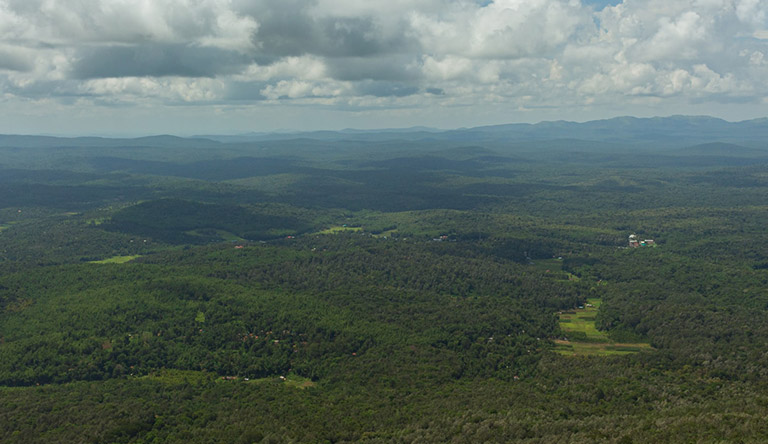 needle-point-ooty-india
