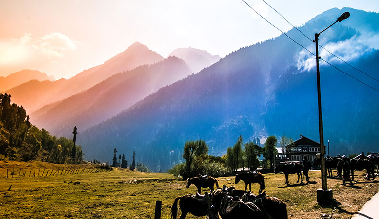 aru-valley-pahalgam-kashmir-india