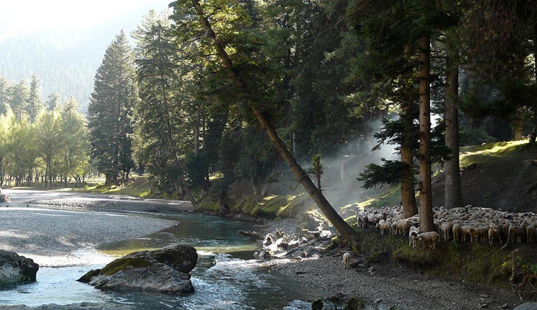 betab-valley-pahalgam-kashmir-india