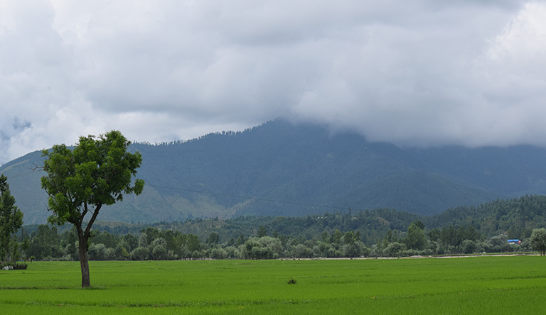 lolab-valley-kupwara-pahalgam-kashmir-india