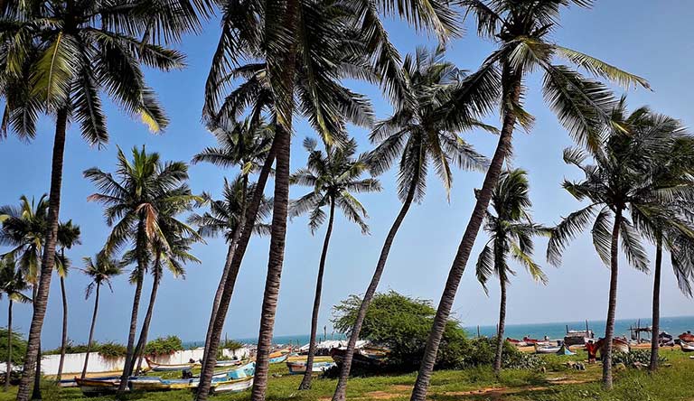 auro-beach-pondicherry-kerala-india