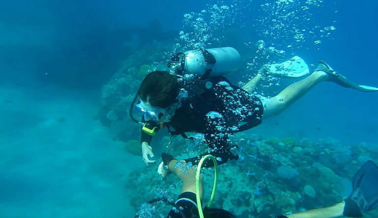 scuba-diving-sea-underwater-pondicherry-kerala-india