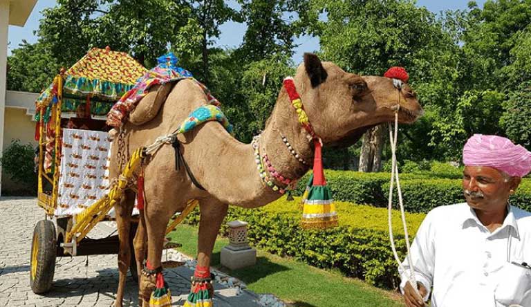 The-Oberoi-Vanyavilas-Camel-Cart-Ride