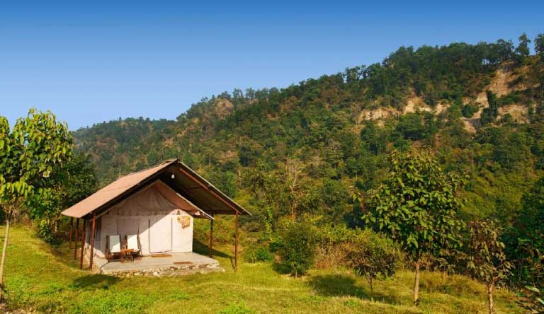 The-Forrest-Rajaji-National-Park-Cottage-Tents1