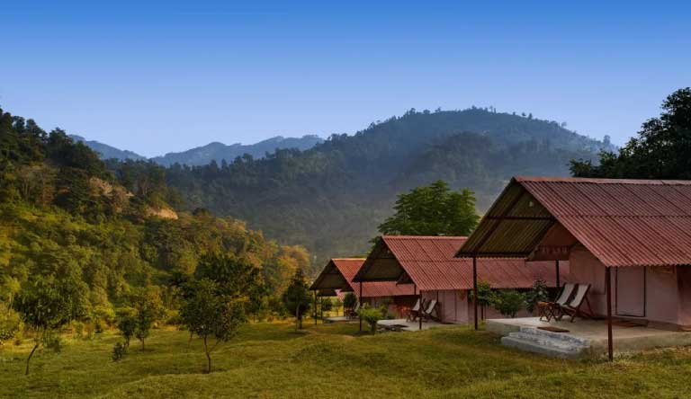 The-Forrest-Rajaji-National-Park-Cottage