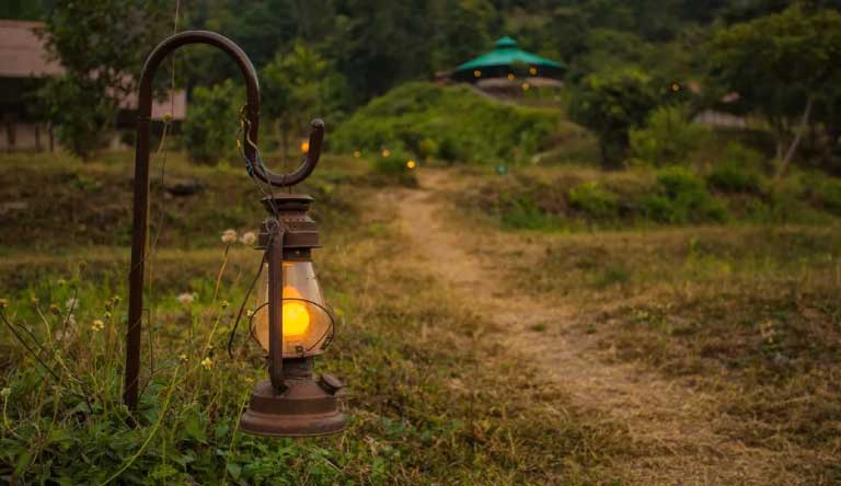 The-Forrest-Rajaji-National-Park-Exterior1