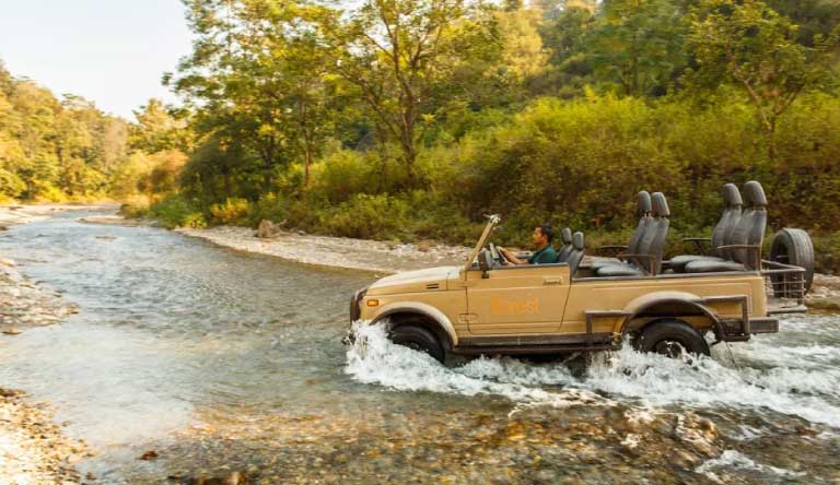 The-Forrest-Rajaji-National-Park-Safari