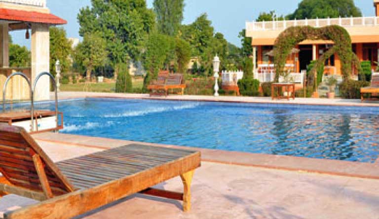 Sariska-Tiger-Camp-Pool