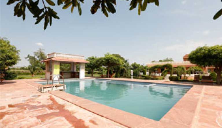 Sariska-Tiger-Camp-Pool1