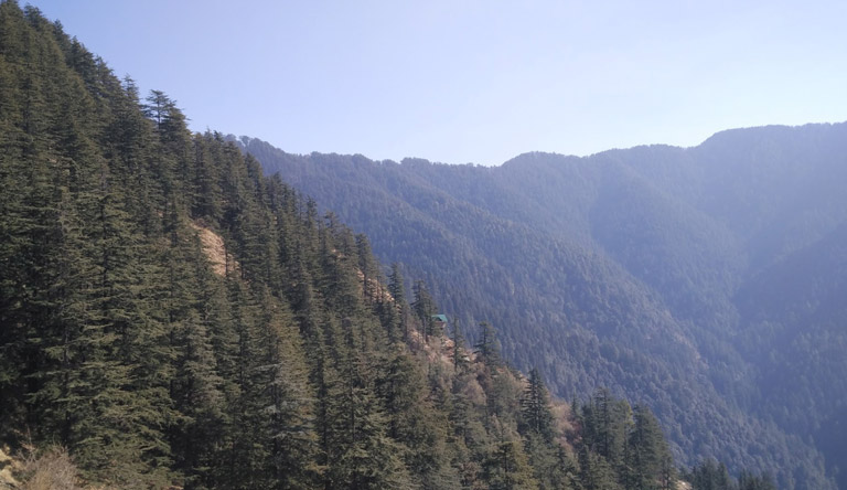 green-valley-shimla-himachal-india