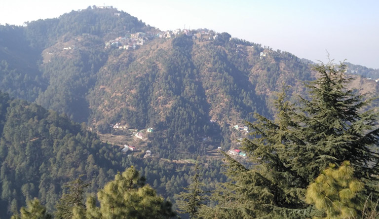 shimla-himachal-india